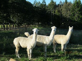 Beerwah QLD Accommodation VIC