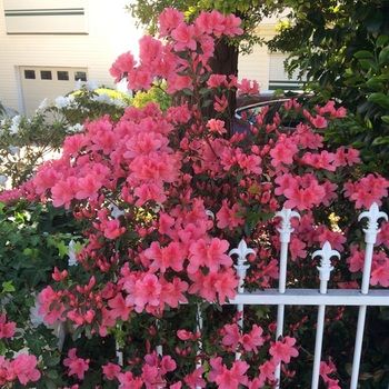 North Ryde Guest House - Accommodation VIC 31