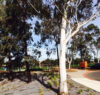Box Hill Studios at Canterbury Gardens - Accommodation VIC