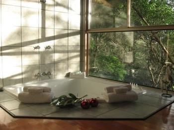 Belle's At Montville - Accommodation VIC 13