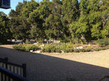 Eumundi Gridley Homestead B&B - Accommodation VIC 1