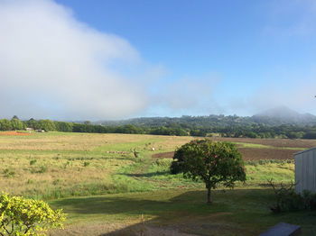 Eumundi Gridley Homestead B&B - Accommodation VIC 6