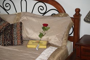 Kingfishers Manor @ Noosa - Accommodation VIC 16