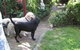 Hamilton Heritage B&B - thumb 1