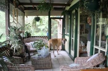 Hamilton Heritage B&B - Accommodation VIC 2
