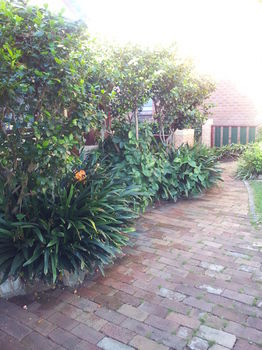 Hamilton Heritage B&B - Accommodation VIC 14