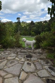 Coverdales B & B At Eumundi - Accommodation VIC 23