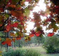 Elfin Hill Country Accommodation - Accommodation VIC