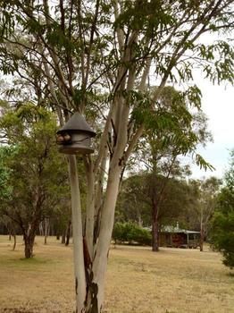 Buffs At Pokolbin - Accommodation VIC 2