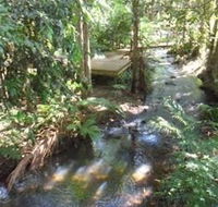 Treetops Accommodation Montville - Accommodation VIC