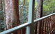 Treetops Accommodation Montville - thumb 9
