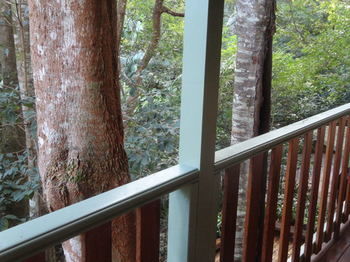 Treetops Accommodation Montville - Accommodation VIC 9