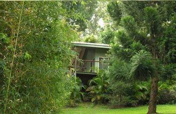 Treetops Accommodation Montville - Accommodation VIC 13