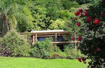 Treetops Accommodation Montville - Accommodation VIC 14