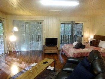 Treetops Accommodation Montville - Accommodation VIC 19