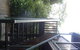 Treetops Accommodation Montville - thumb 21