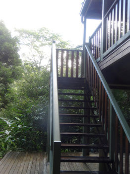 Treetops Accommodation Montville - Accommodation VIC 21