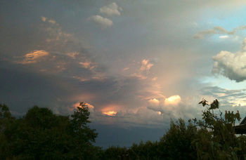 Treetops Accommodation Montville - Accommodation VIC 27