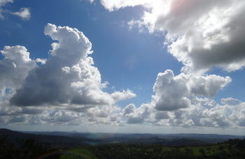 Treetops Accommodation Montville - Accommodation VIC 28