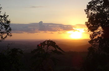 Treetops Accommodation Montville - Accommodation VIC 30