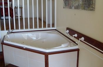 Treetops Accommodation Montville - Accommodation VIC 33