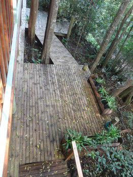 Treetops Accommodation Montville - Accommodation VIC 53
