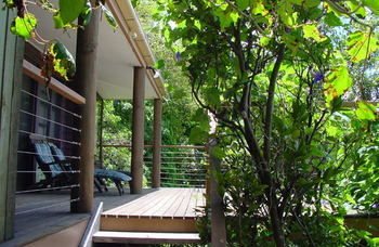 Treetops Accommodation Montville - Accommodation VIC 59