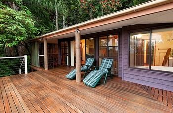 Treetops Accommodation Montville - Accommodation VIC 61