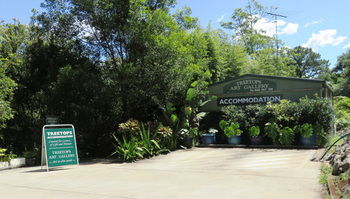 Treetops Accommodation Montville - Accommodation VIC 67