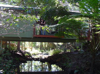 Treetops Accommodation Montville - Accommodation VIC 87