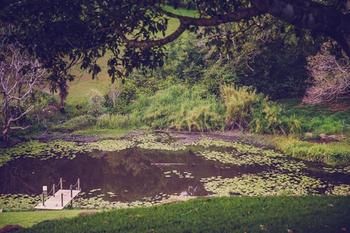 Allara Homestead - Accommodation VIC 5