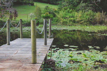 Allara Homestead - Accommodation VIC 14