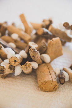 Allara Homestead - Accommodation VIC 23