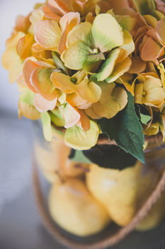 Allara Homestead - Accommodation VIC 30