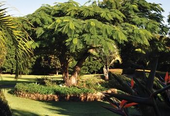 Peppertree Cottage - Accommodation VIC 10