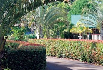 Peppertree Cottage - Accommodation VIC 21