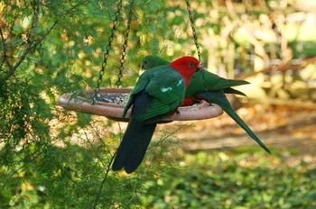 Glenview Retreat Luxury Bed & Breakfast - Accommodation VIC 12
