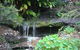 Beachview Homestay - thumb 5