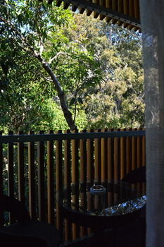 Melrose Apartments - Accommodation VIC 8