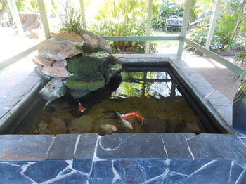The Willows - Accommodation VIC 0