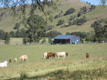 The Wattle Lodge - Accommodation VIC 19
