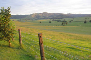 The Wattle Lodge - Accommodation VIC 21