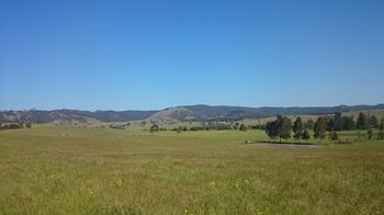 The Wattle Lodge - Accommodation VIC 26