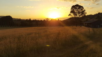 The Wattle Lodge - Accommodation VIC 35