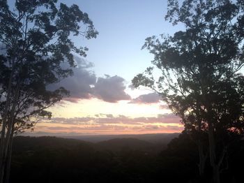 Phoenix Eumundi Bed & Breakfast - Accommodation VIC 14