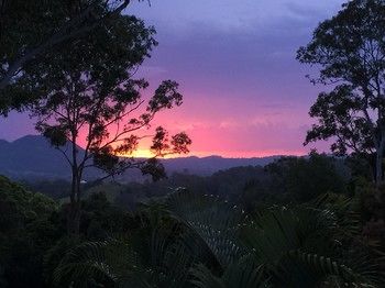 Phoenix Eumundi Bed & Breakfast - Accommodation VIC 17