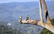 Phoenix Eumundi Bed & Breakfast - thumb 18