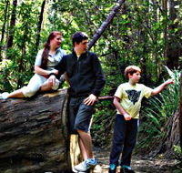 Tahune Airwalk Lodge - Accommodation VIC