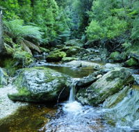 Tarkine Wilderness Experience at Corinna - Accommodation VIC