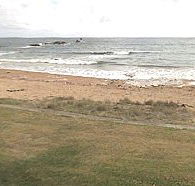 Penguin Caravan Park - Accommodation VIC